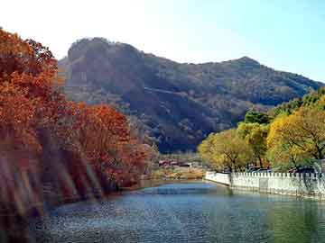 管家婆免费正版资起大全，松香甘油酯